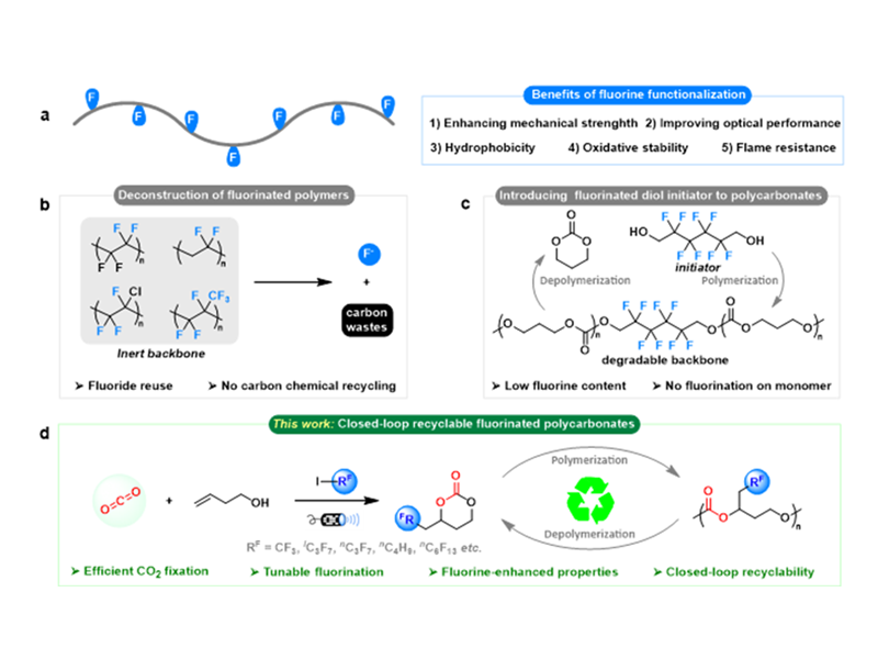 上海交大变革性分子前沿科学中心唐山团队开发了具有可调性能和闭环化学可回收性的二氧化碳基含氟聚合物